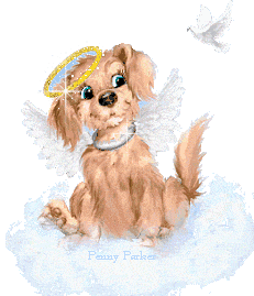 Gif Chiot ange