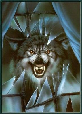 Loup en col�re