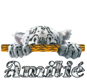 Encore l'amiti�!!!! c'est sacr�e