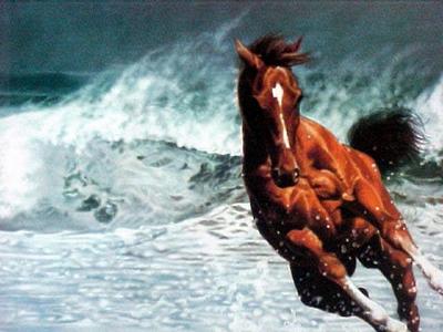 Cheval venu de la mer......Serenity