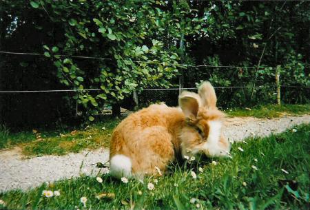 Poupine et Thierry......Les Wriggles