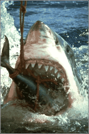 Le monstre des mers et affam�......