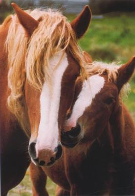 L'amour d'une m�re c'est beau.....