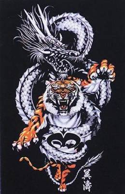 Tiger and Dragon.....