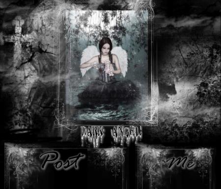 Informations....Concerts