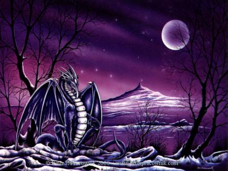 Dragon violet � la tomb�e de la nuit