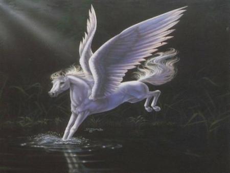 P�gase att�rissant sur l'eau